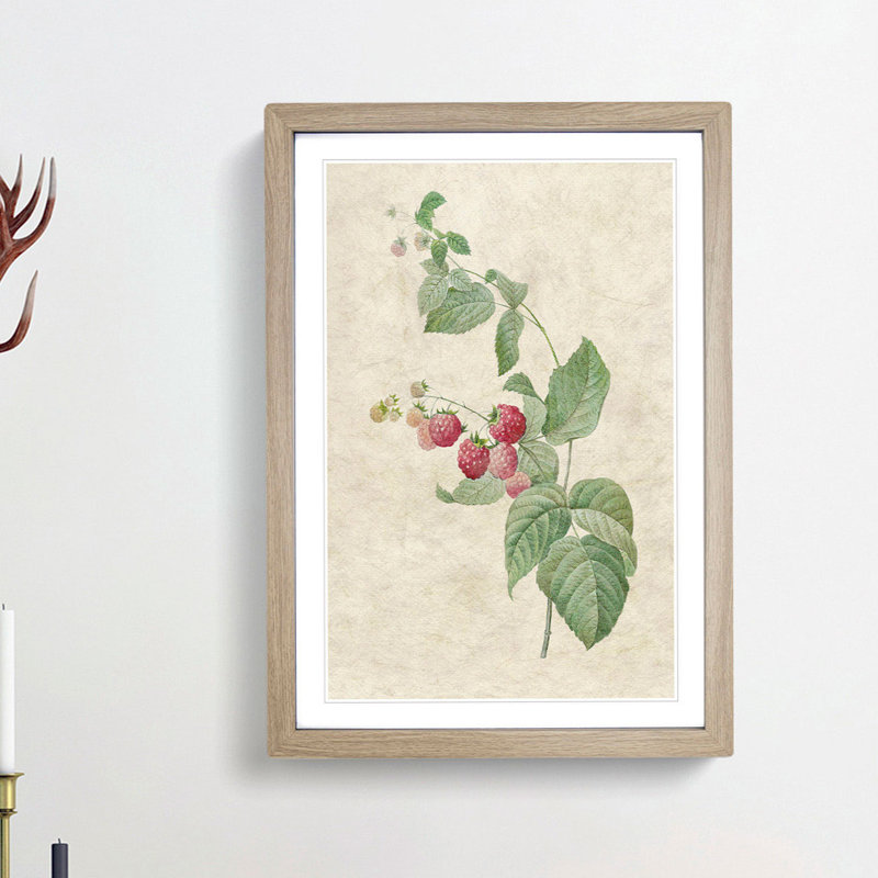 Raspberry Plant by Pierre-Joseph Redoute - Picture Frame Painting Print, 65cm H x 48cm W x 2cm D, Oak Framed