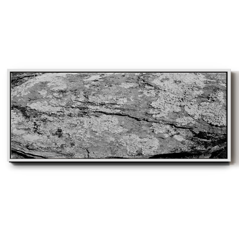 Found Textures XVI- Framed Canvas, 20" H x 50" W