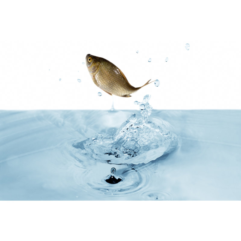 Fish by DrPAS - Wrapped Canvas Print, 81cm H x 122cm W