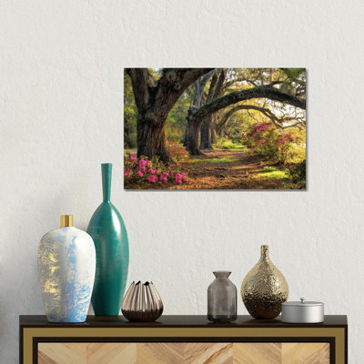 Under The Live Oaks I by Danny Head - Gallery-Wrapped Canvas Giclée on Canvas