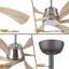 Ventilateur de plafond Hydle 60-1395590154