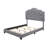Alayah Tufted Upholstered Low Profile Standard Bed-207584063-207584056