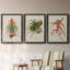 Elegant Tropicals IV - Ensemble de 3 peintures sur toile encadrées-1823053511-1823053508