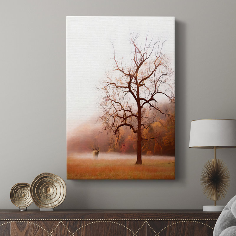 Photographie, photographie, élan dans la brume - galerie sur mesure