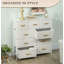 Rectangle Accent Chest