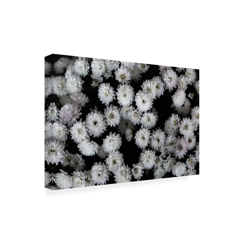 Art sur toile, jolies fleurs 3, H 12 po x l 19 po