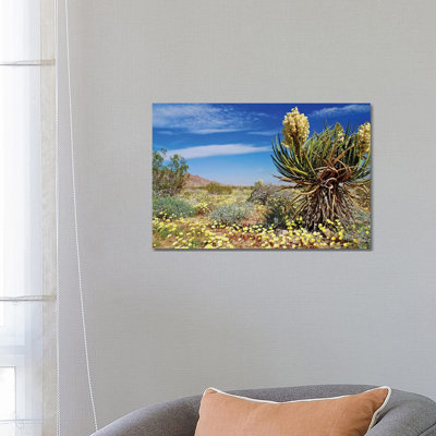 Yucca And Desert Gold by Brian Wolf - Wrapped Canvas Print