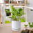 Set of 2 Modern Honeycomb Embossed Ceramic Planter Pots - 4" & 6" with Drainage Hole and Saucer