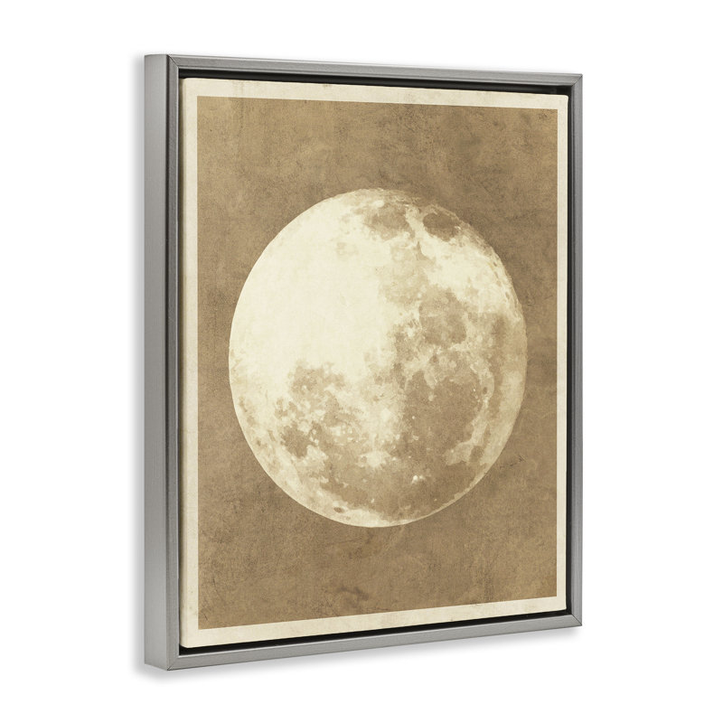 «Rustic Neutral Moon Gray» par Daphne Polselli, H 31 po x l 25 po, Cadre flottant gris lustré