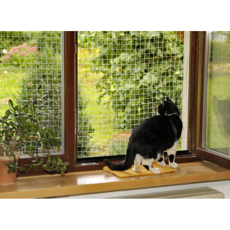 Dostie Cat Accessory, 200cm H x 400cm W x 0.5cm D