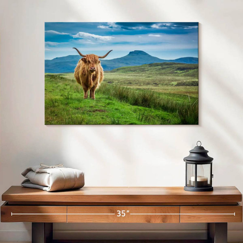 Brampt Skye Highland Cow, H 16 po x l 24 po
