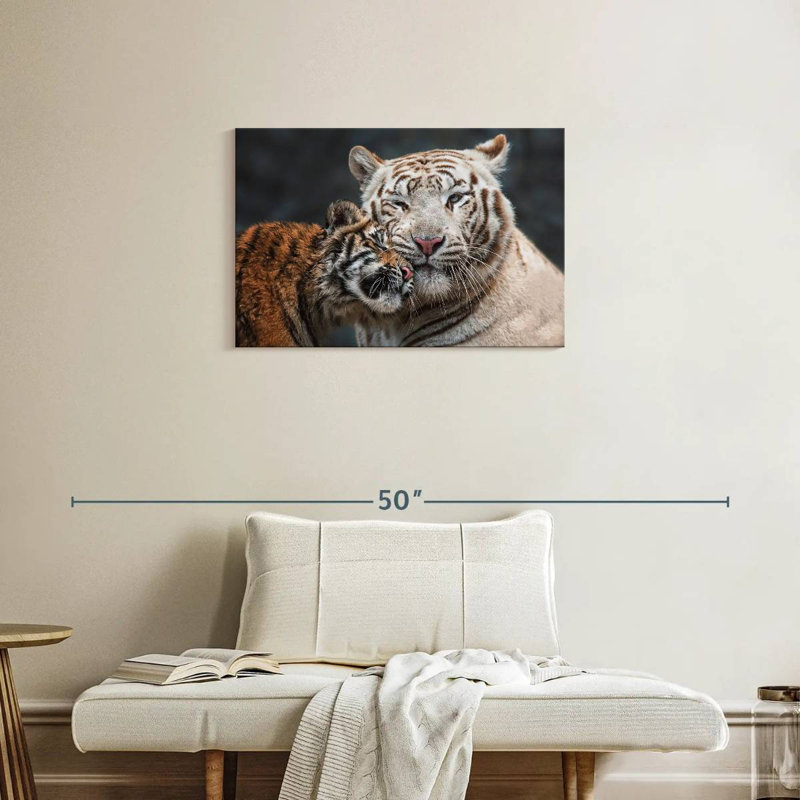 Tigre blanc et chaton Brampt, H 20 po x l 30 po