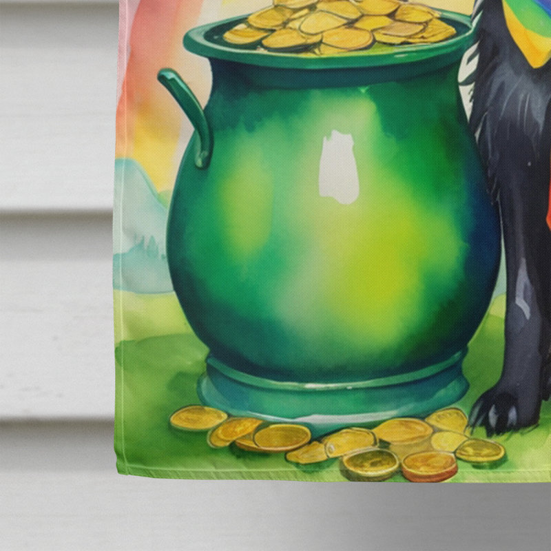 Drapeau double face en polyester H 40 po x l 28 po St Patrick's Day House