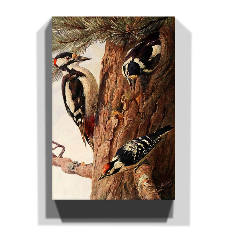 Wilhelm Kuhnert - Wrapped Canvas Painting, 60cm H x 40cm W