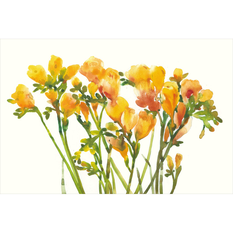 Freesia II, H 8 po x l 12 po x P 1,25 po