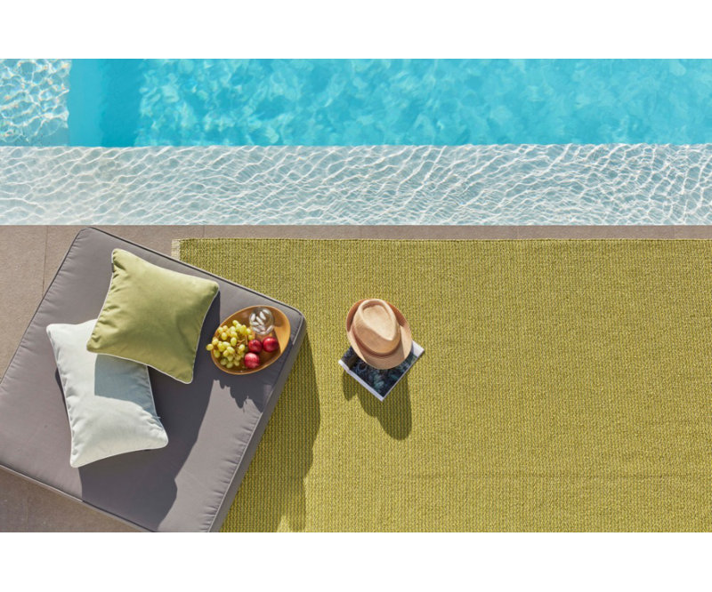Mono Area Rug in Olive