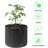 Paisynn Nursery Pot-1161932002