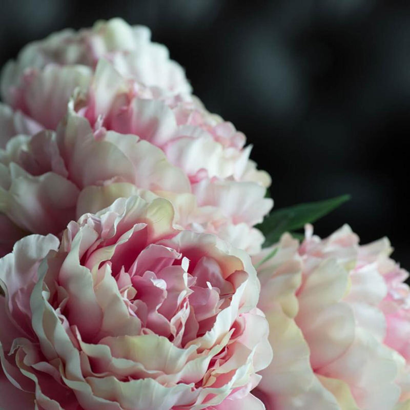 Peony Arrangement