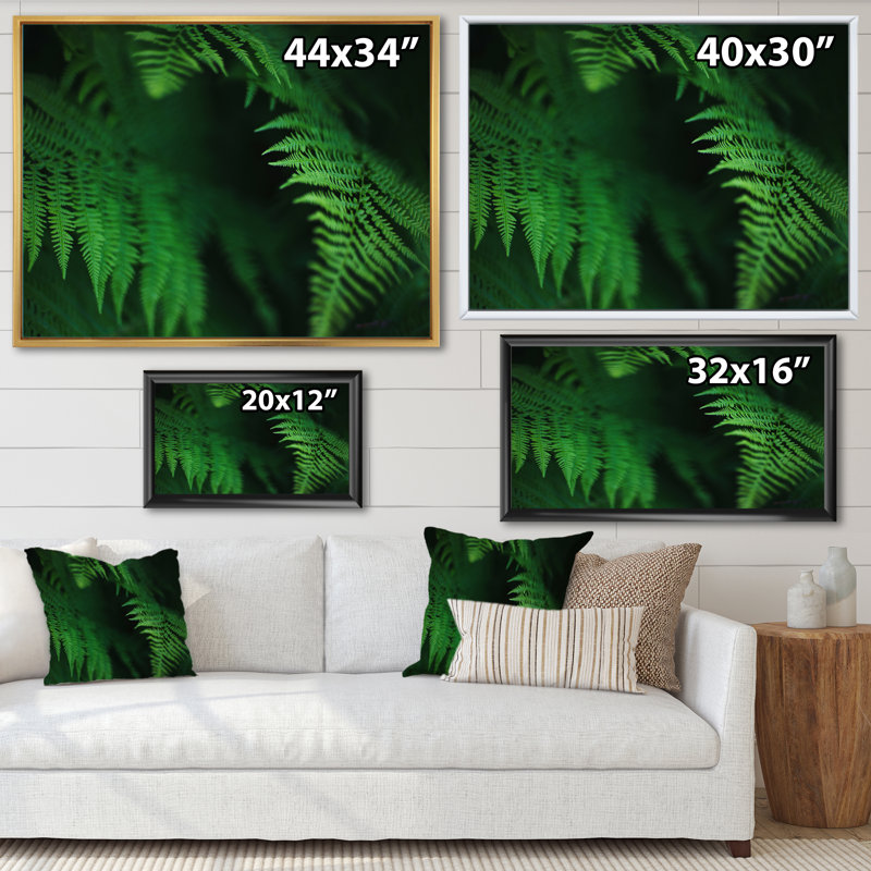 Fougère vert foncé sur fond noir - photographie sur toile, H 12 po x l 20 po, Toile à cadre flottant doré
