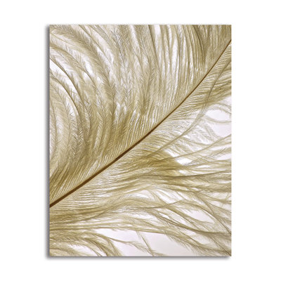 « plumes close-up ii », impression