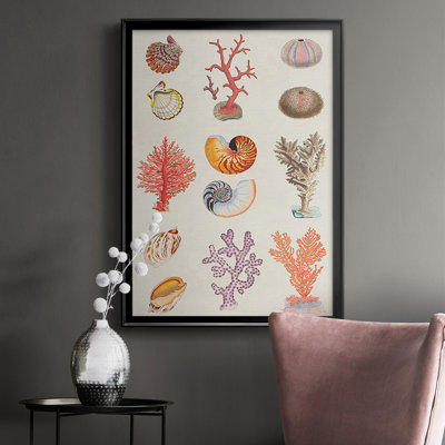 " Coral And Shell Collage I "