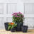 Burdette Pot Planter-966315636-1059539736