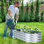 Lit de jardin surélevé galvanisé argent-108830268