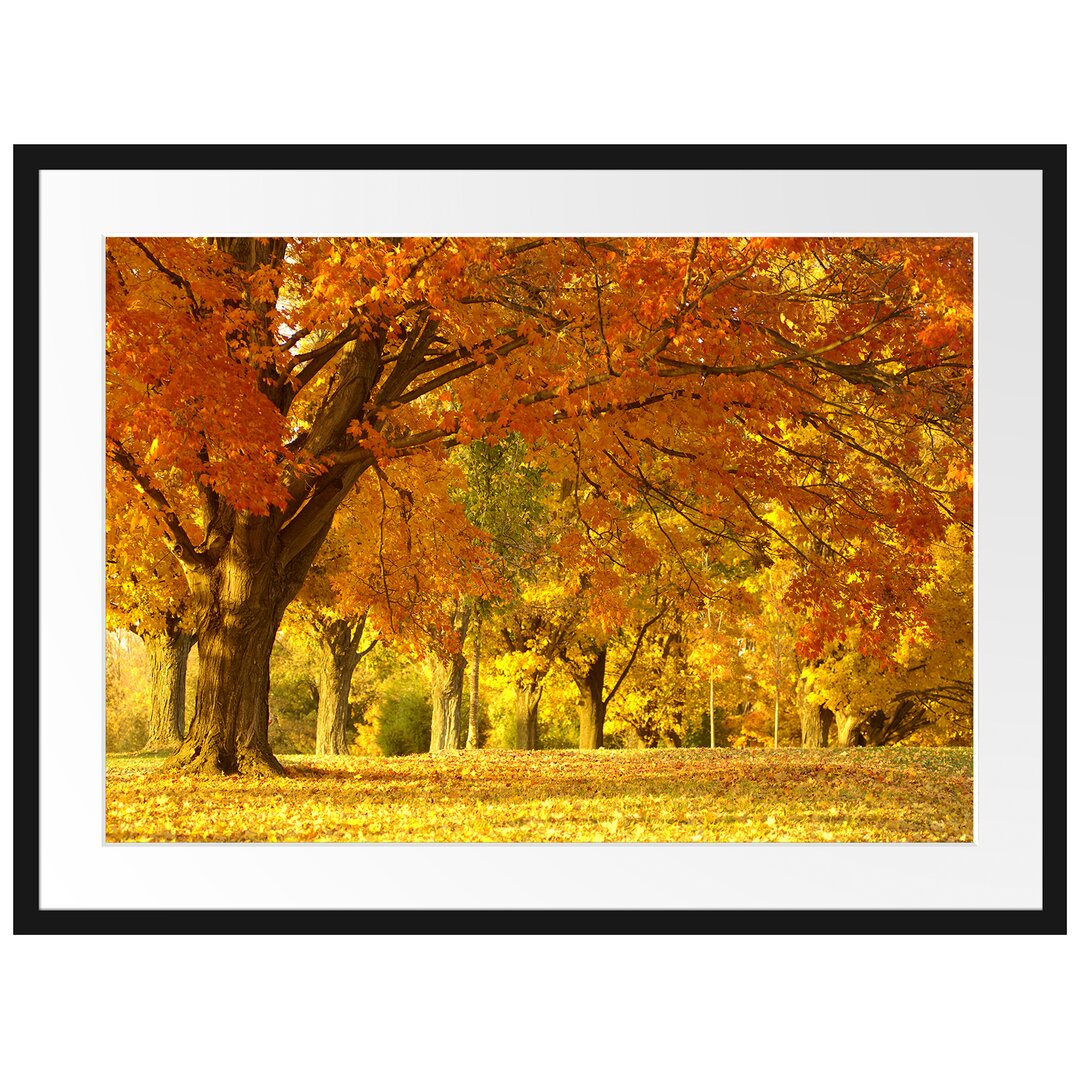 Gerahmtes Poster Schöne Herbstlandschaft