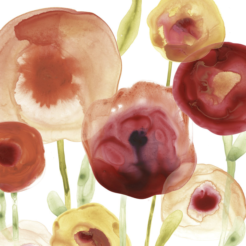 Poppy Patch II by June Erica Vess - Wrapped Canvas Painting, 30cm H x 30cm W