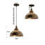 Sallie 1 - Light Copper Pendant