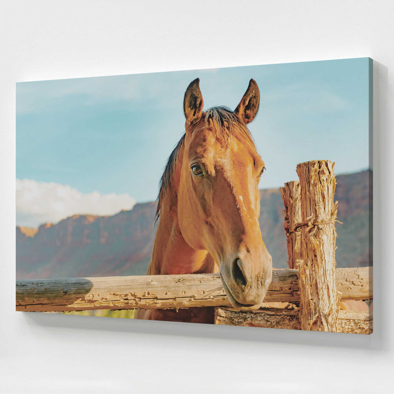 «Equestian Solace», grande impression sur toile, H 36 po x l 54 po