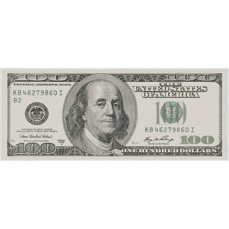  Money Dollar Bill Front Modern Green Area Rug, Runner 3'11" x 9'10"
