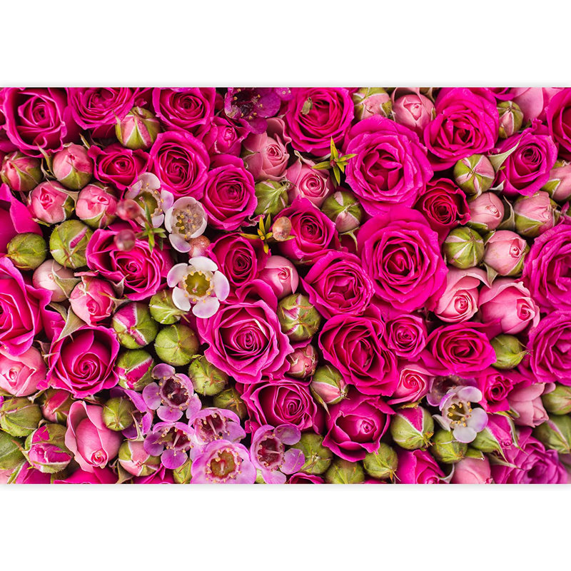 Élégante fleur rose M14, L 66 po x l 96 po