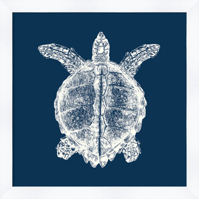 " Turtle In Blue Reverse "