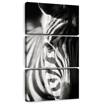 Zebra Details