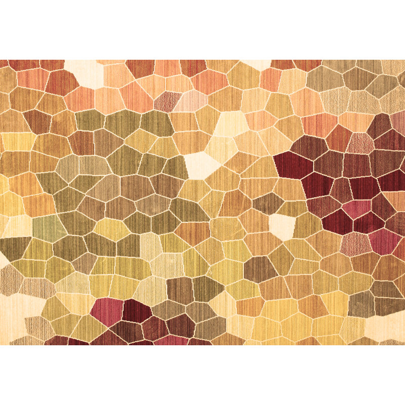 Tapis brun traditionnel 1661, Rectangle 8 pi x 12 pi