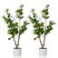 Arbre de camélia artificiel en pot pour le bureau extérieur-1708249250