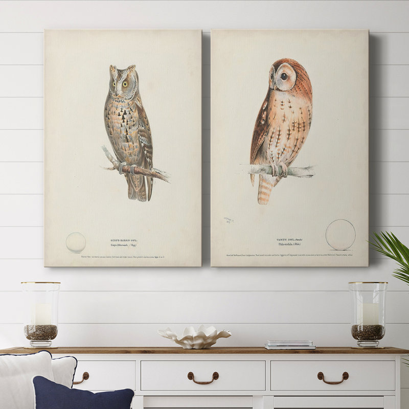 Scops Eared Owl - Toile tendue avec châssis de qualité supérieure - Prêt à être accroché, H 48 po x l 32 po