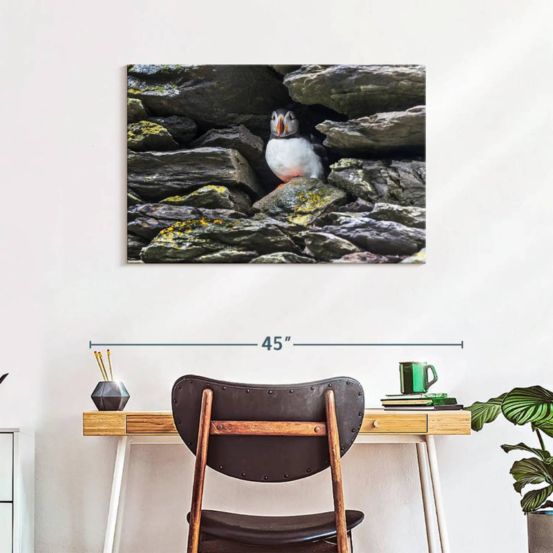 Crowle Resting Atlantic Puffin
