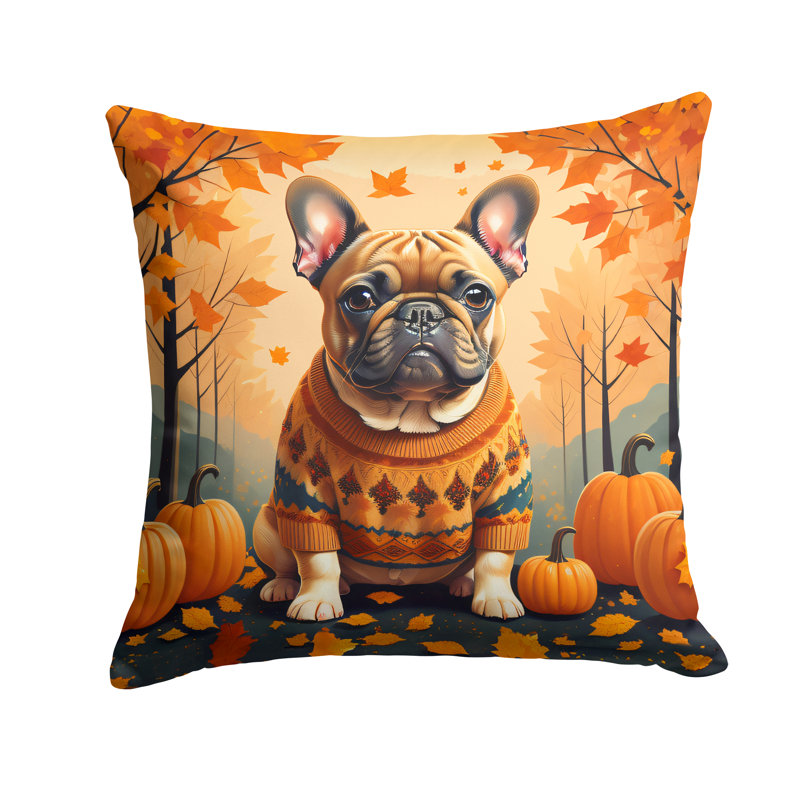 Other/No Pattern Outdoor Throw Pillow, 14" x 14"