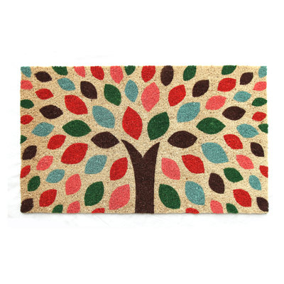 Haggins Non-Slip Indoor Doormat