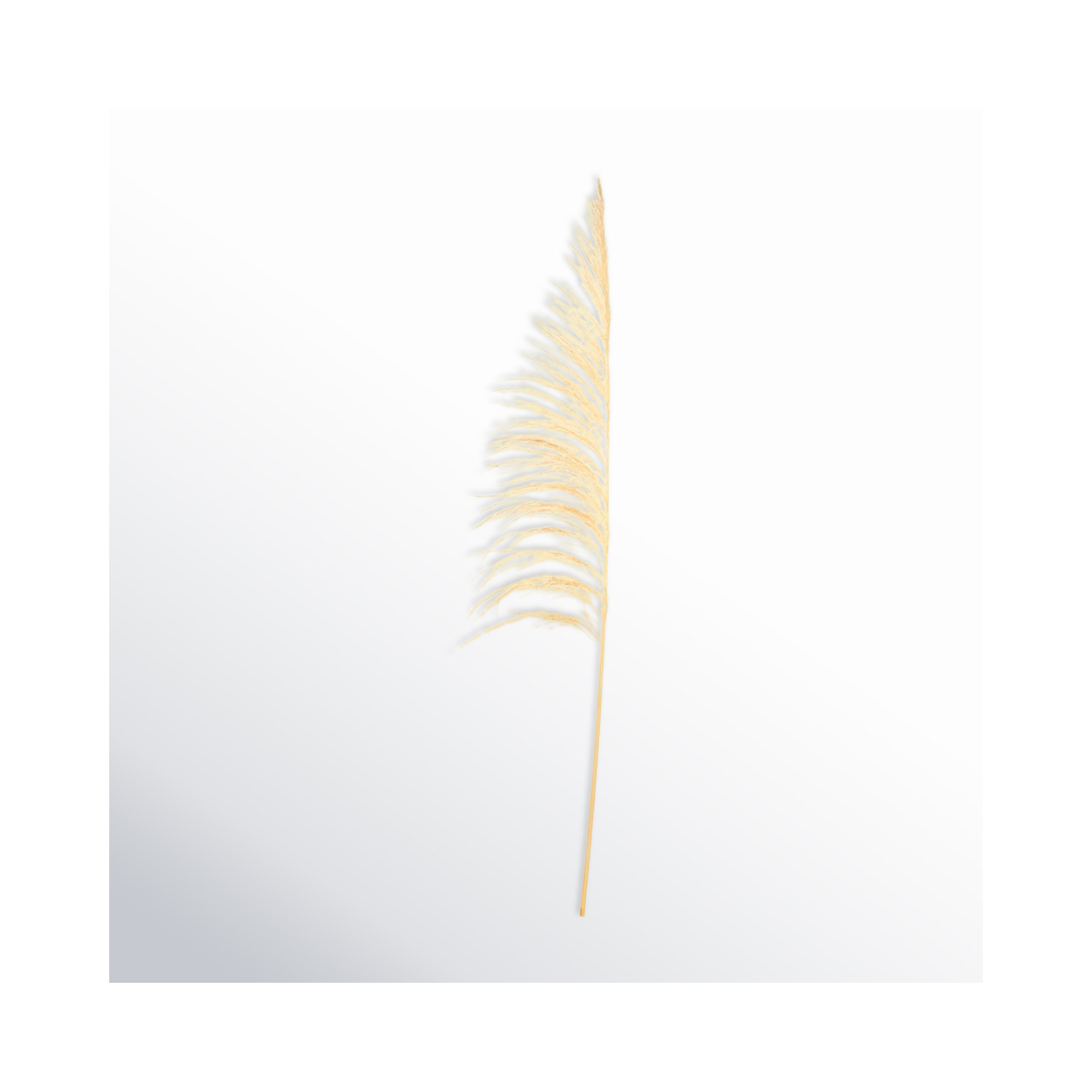 Lei 71'' Palm Plant, Bleached