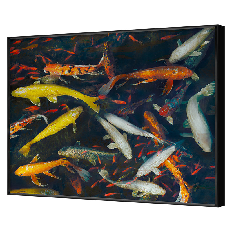 Koi 2 Print by Woodman, Kate, Black Framed, 45" H x 56" W x 1.75" D