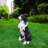 Outdoor Garden Border Collie Dog Statue