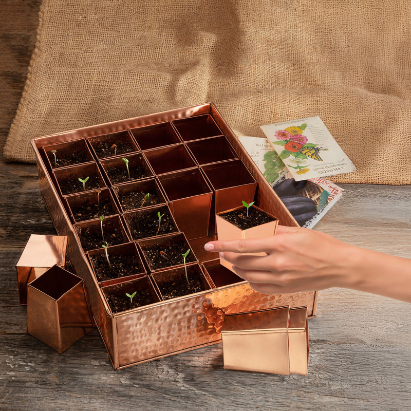 Plateau à graines - Plateau à semis en cuivre et métal avec 24 pots à fleurs effilés pour planter des graines - Trousse de germination pour la germination - Accessoires de serre et cadeaux de jardinage par Kings County Tools