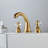 2-handle Bathroom Faucet with Drain Assembly-93389871