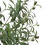 83cm Olive Tree Plant
