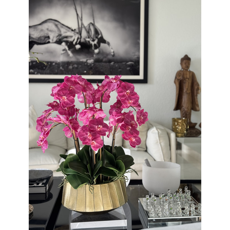 Helena Boat Planter With Phaleanopsis Orchids, Pink
