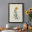 Toile encadrée de qualité supérieure Traditional Botanical III - prête à être accrochée-267675585-267675645