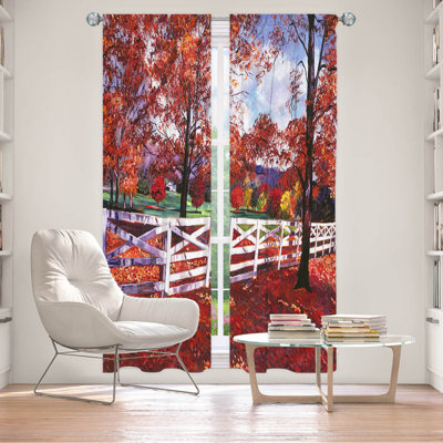 Room Darkening Curtains / Drapes Pair